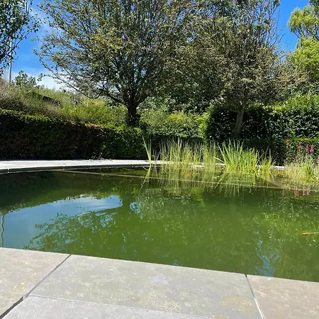 In Front Of The Sea With Natural Swimming Pond